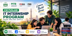 CM Punjab IT Internship Program